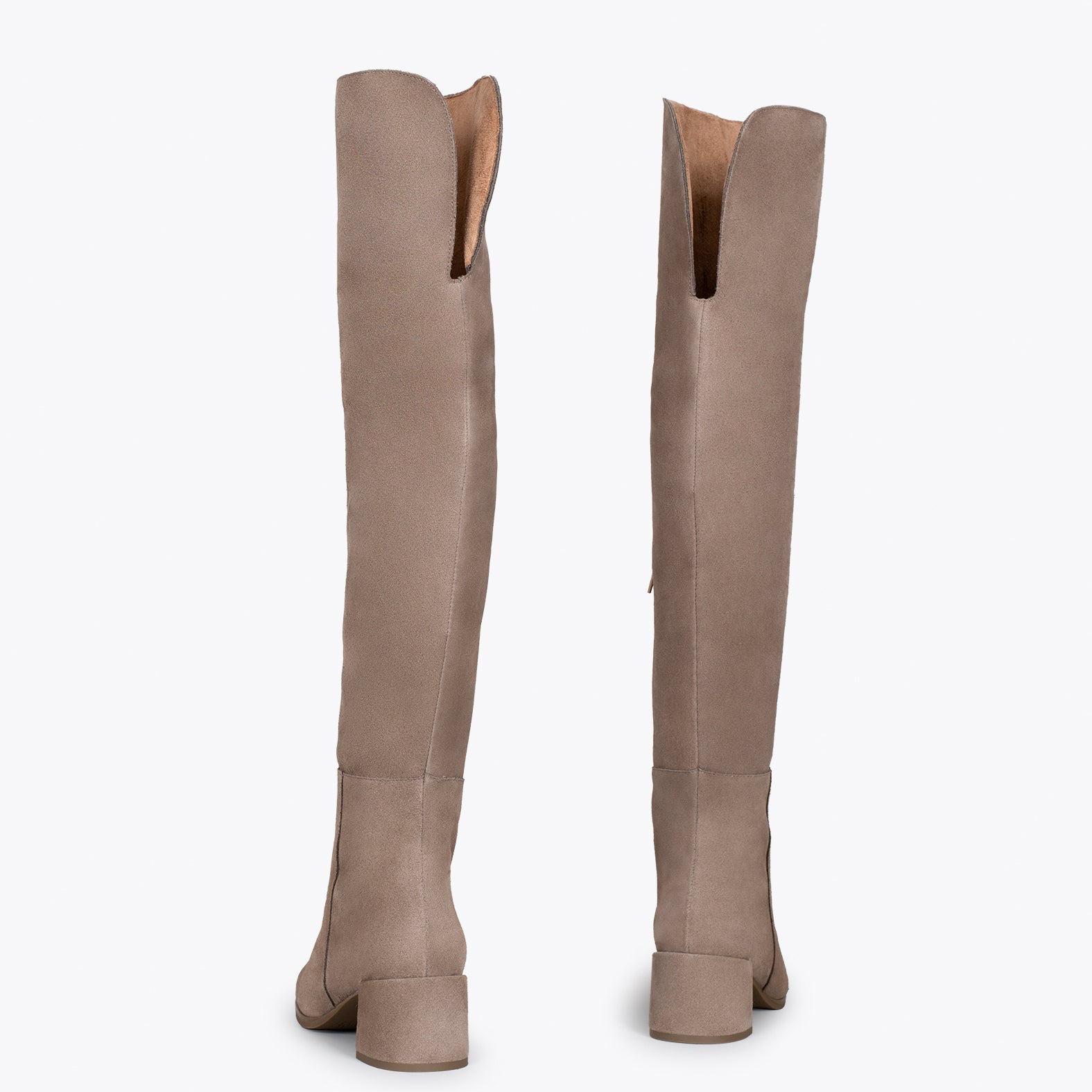 MOSQUETERAS - Botas altas de serraje TAUPE