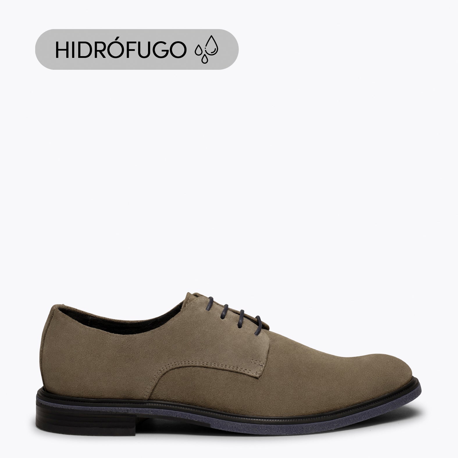 HARVARD - Chaussure pour homme TAUPE hydrofuge
